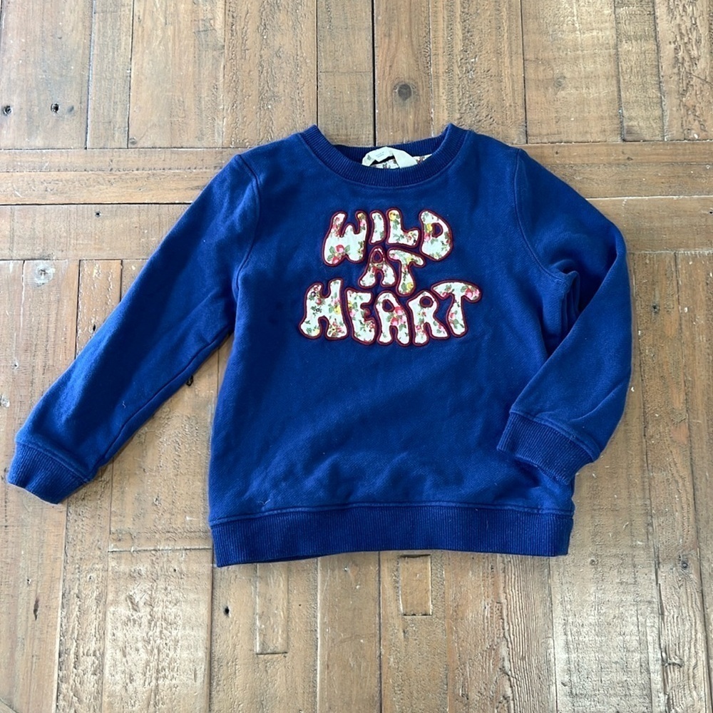 Mini Boden Wild at heart sweatshirt